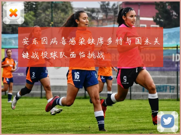 安东因病毒感染缺席多特与国米关键战役球队面临挑战